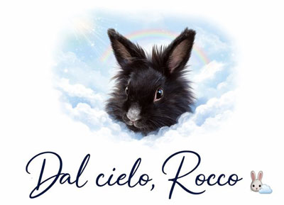 Ciao io sono Rocco