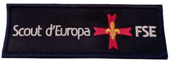 Scouts FSE