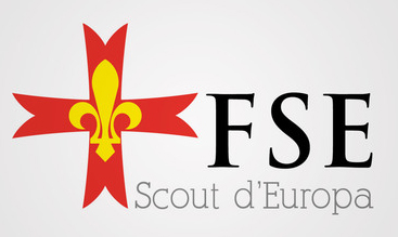 Scouts FSE